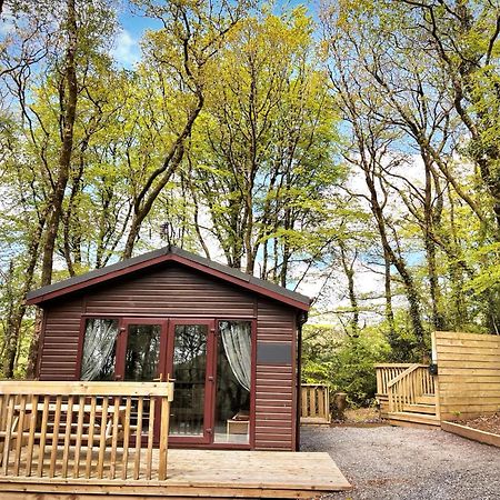 Woodland View -Hot Tub-Tenby-Carmarthen-St Clears Exterior photo